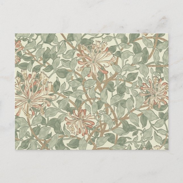 Carte Postale William Morris Honeysuckle Vert Floral (Devant)