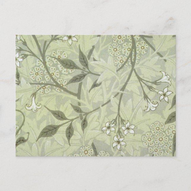 Carte Postale William Morris Jasmine Botanique (Devant)