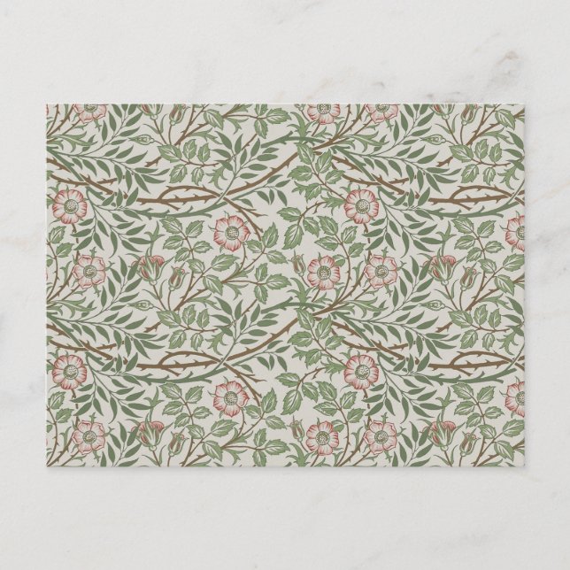 Carte Postale William Morris Sweetbrie Floral Art Nouveau (Devant)