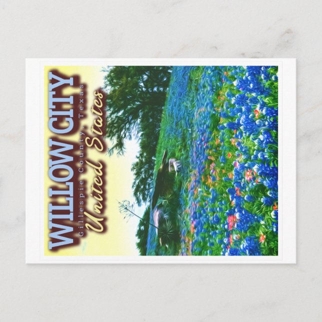 CARTE POSTALE WILLOW CITY TEXAS - WILLOW CITY LOOP - BLUEBONNET (Devant)