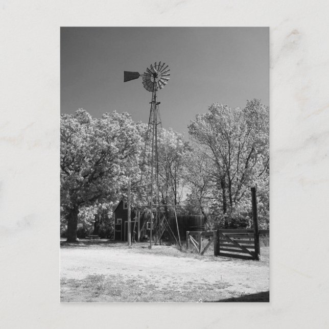 Carte Postale Windmill (Devant)
