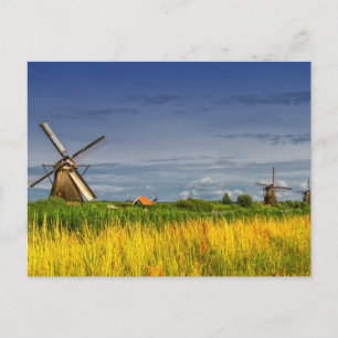 Carte Postale Windmills en Kinderdijk, Hollande, Pays-Bas