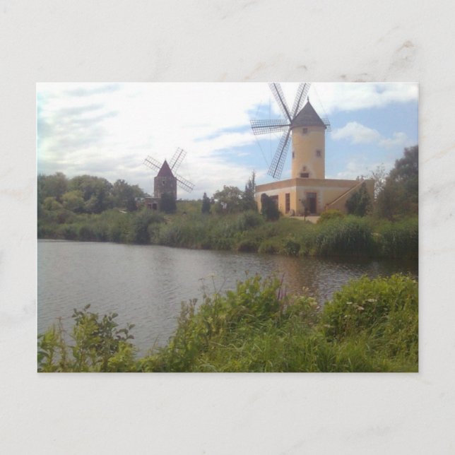 Carte Postale Windmühlenmuseum Gifhorn (Devant)