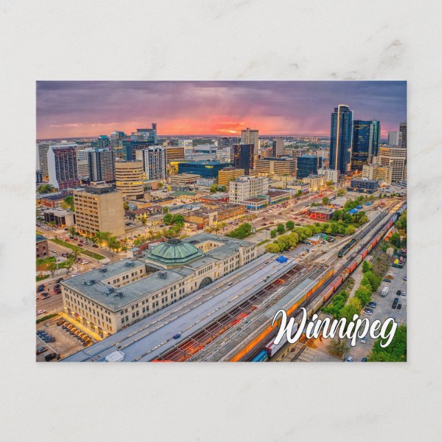 Carte Postale Winnipeg, Manitoba, Canada (Devant)
