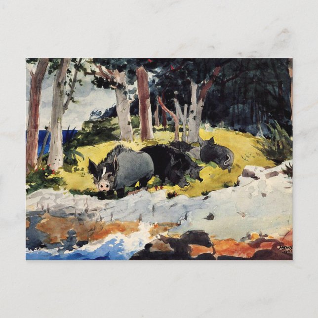 Carte Postale Winslow Homer - Bermudes Colons (Devant)