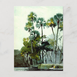 Carte Postale Winslow Homer - Homosassa River