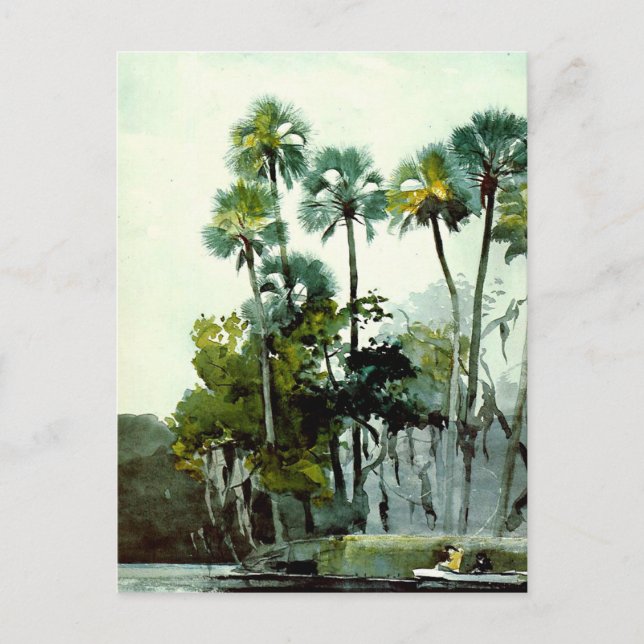 Carte Postale Winslow Homer - Homosassa River (Devant)