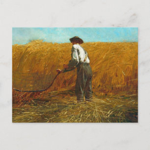 Carte Postale Winslow Homer - Vétérinaire Dans Un Nouveau Domain