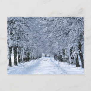 Carte Postale Winter alley