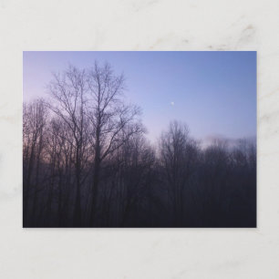 Carte Postale Winter Moon Matin Paysage Photographie
