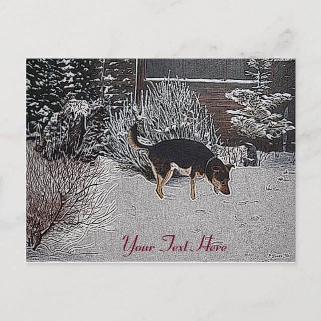 Carte Postale Winter snow scene with cute black and tan dog (Devant)