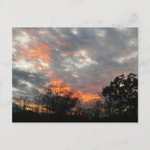 Carte Postale Winter Sunset Nature Paysage Photographie