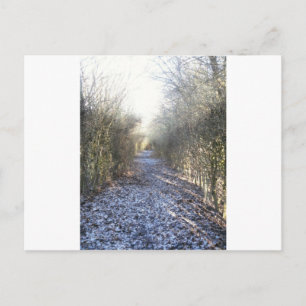Carte Postale Winter walk