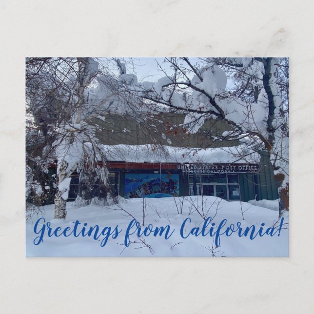 Carte postale Winter Wonderland (Devant)