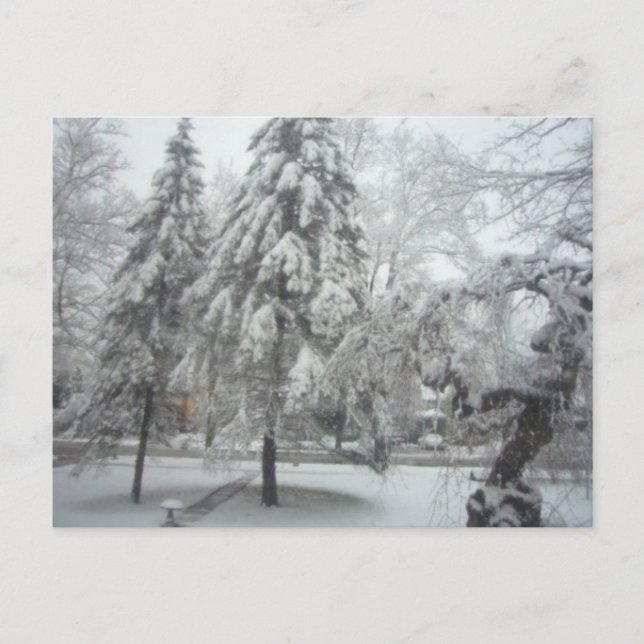 Carte Postale Winter Wonderland (Devant)