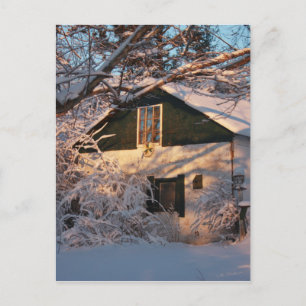 Carte Postale Winter Wonderland