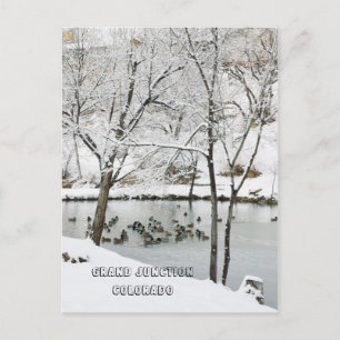 Carte Postale Winter Wonderland at Duck Pond Park