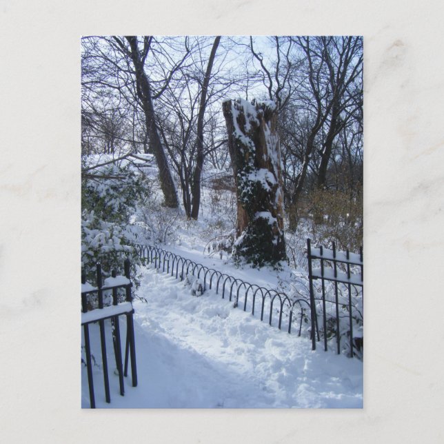 Carte Postale Winter Wonderland Riverside Park New York City NYC (Devant)