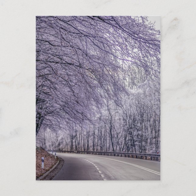 Carte Postale Winter Wonderland Travel Photo (Devant)