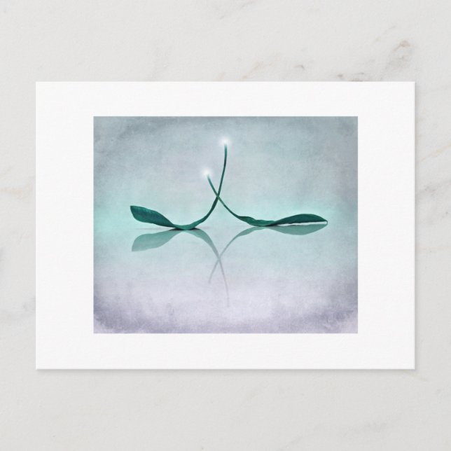 Carte Postale Winterlicht (Devant)