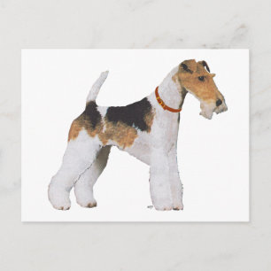 Carte Postale Wire Fox Terrier