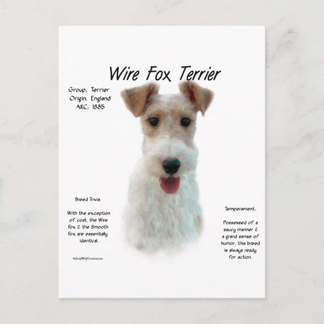 Carte Postale Wire Fox Terrier Histoire; à propos de fil fox ter (Devant)