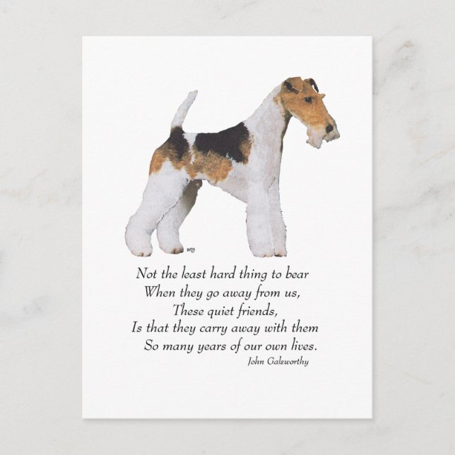 Carte Postale Wire Fox Terrier Rainbow Bridge (Devant)