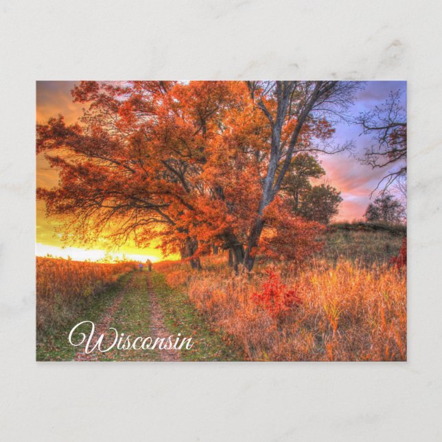 Carte postale Wisconsin (Devant)