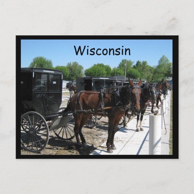 Carte Postale Wisconsin Amish (Devant)