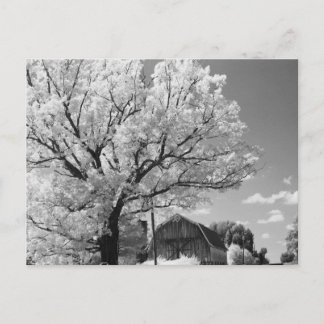 Carte Postale Wisconsin Farm Postcard