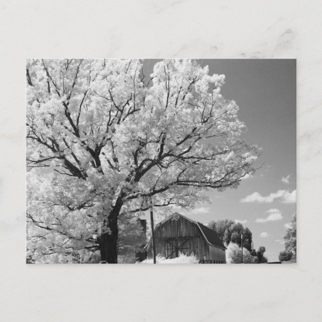 Carte Postale Wisconsin Farm Postcard (Devant)