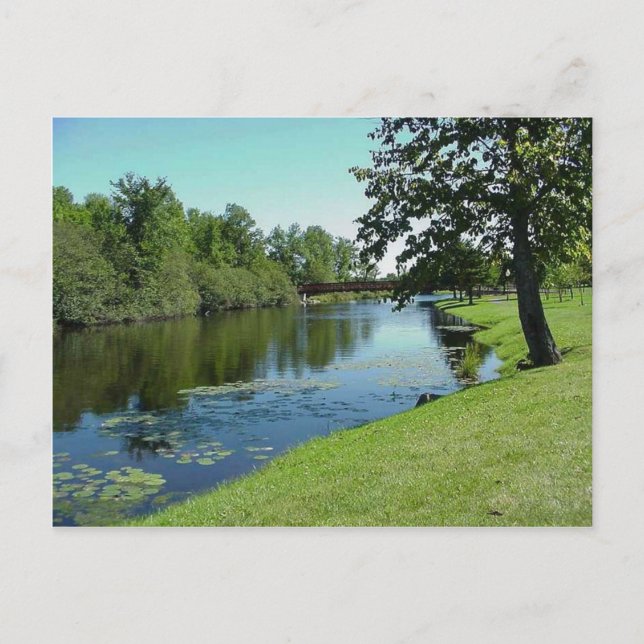 Carte Postale Wisconsin Medford Stream River Water Park Picnic (Devant)