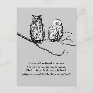 Carte postale Wise Owdom