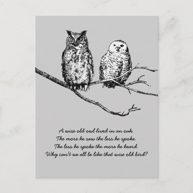 Carte postale Wise Owdom (Devant)