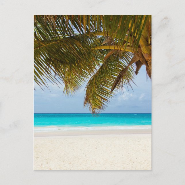 Carte Postale Wish you were ! (Devant)