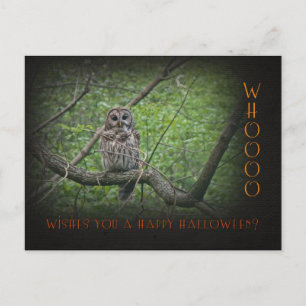 Carte Postale Wishies d'Halloween - Chouette barrée