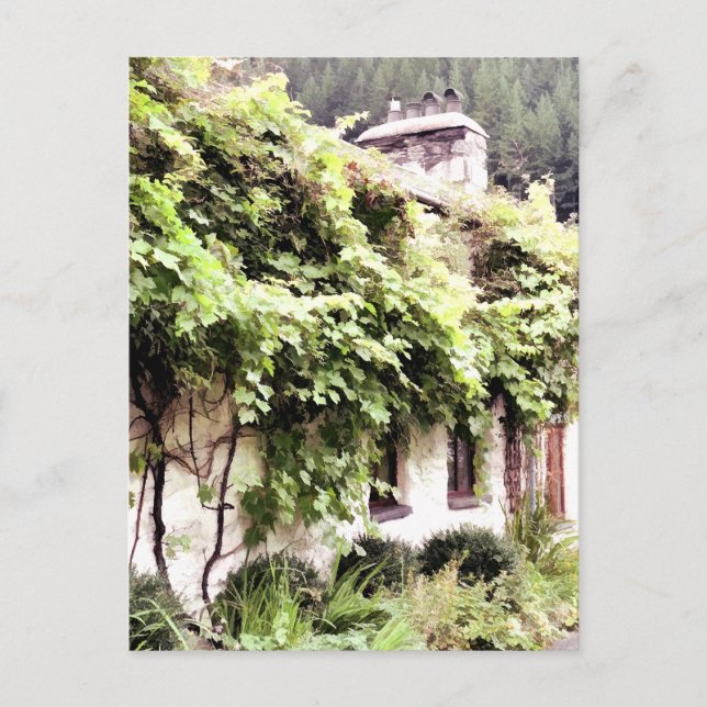 CARTE POSTALE WISTERIA COTTAGE (Devant)