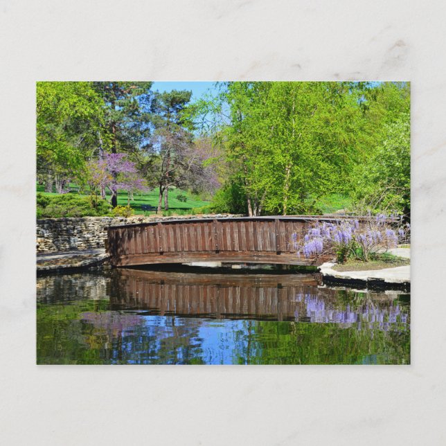 Carte Postale Wisteria in Bloom at Loose Park in Kansas City (Devant)