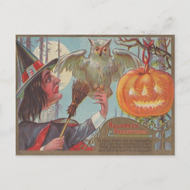Carte Postale Witch Broom Jack-o'-lantern Owl Moon (Devant)