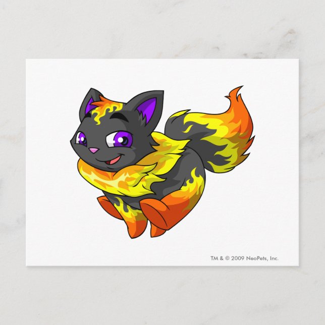 Carte Postale Wocky Fire (Devant)