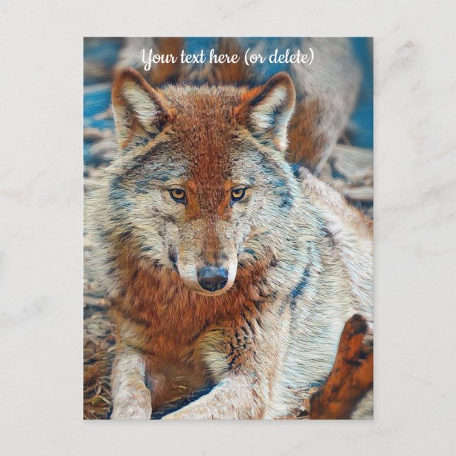 Carte postale Wolf (Devant)