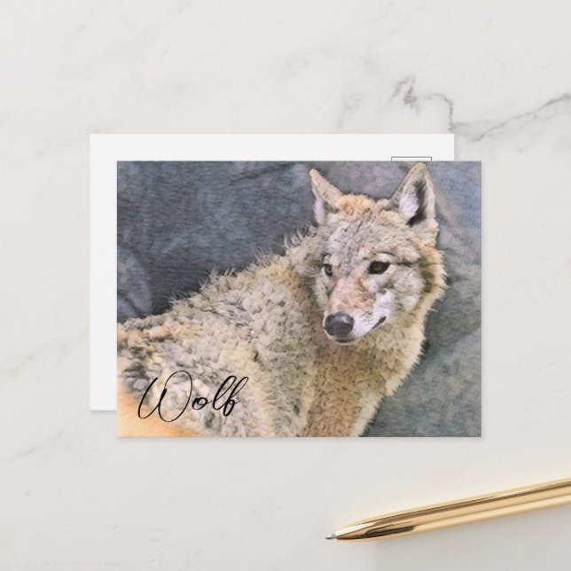 Carte Postale Wolf ポストカード (Devant/Arrière en situation)