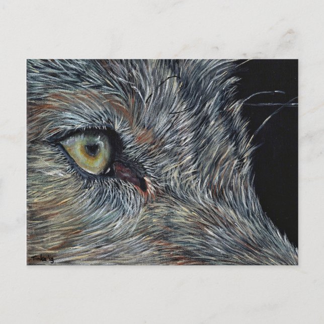 Carte Postale Wolf Ansichtkaart (Devant)
