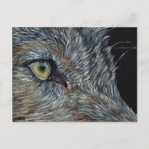 Carte Postale Wolf d'Ansichtkaart