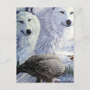Carte Postale Wolf Eagle Animaux Parc naturel Bureau des affaire