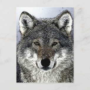 Carte Postale Wolf Eyes
