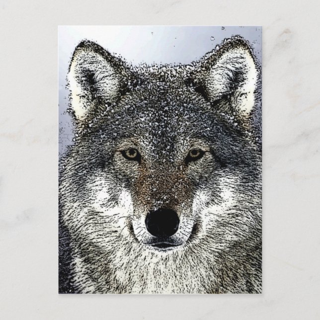 Carte Postale Wolf Eyes (Devant)