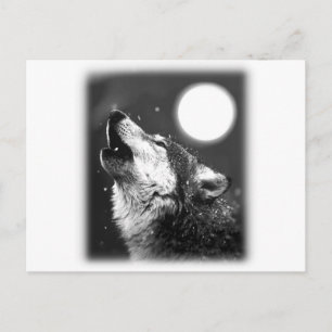 Carte Postale Wolf Howling à Moon