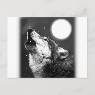 Carte Postale Wolf Howling à Moon