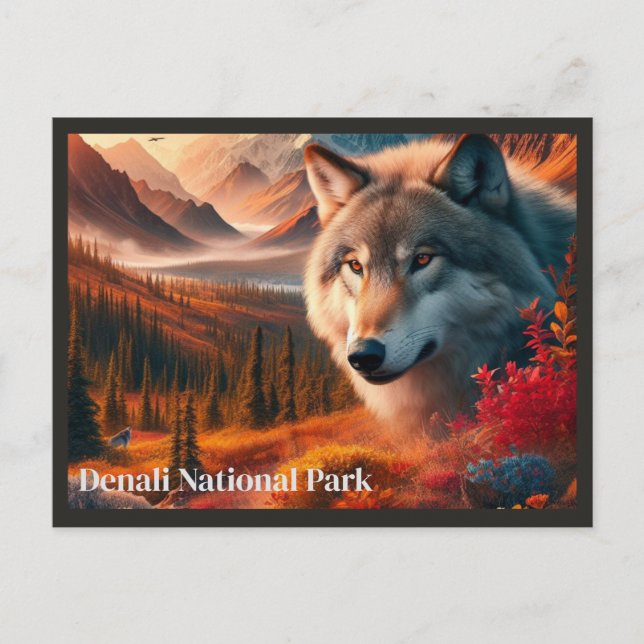 Carte postale Wolf Sunset Denali State Park (Devant)